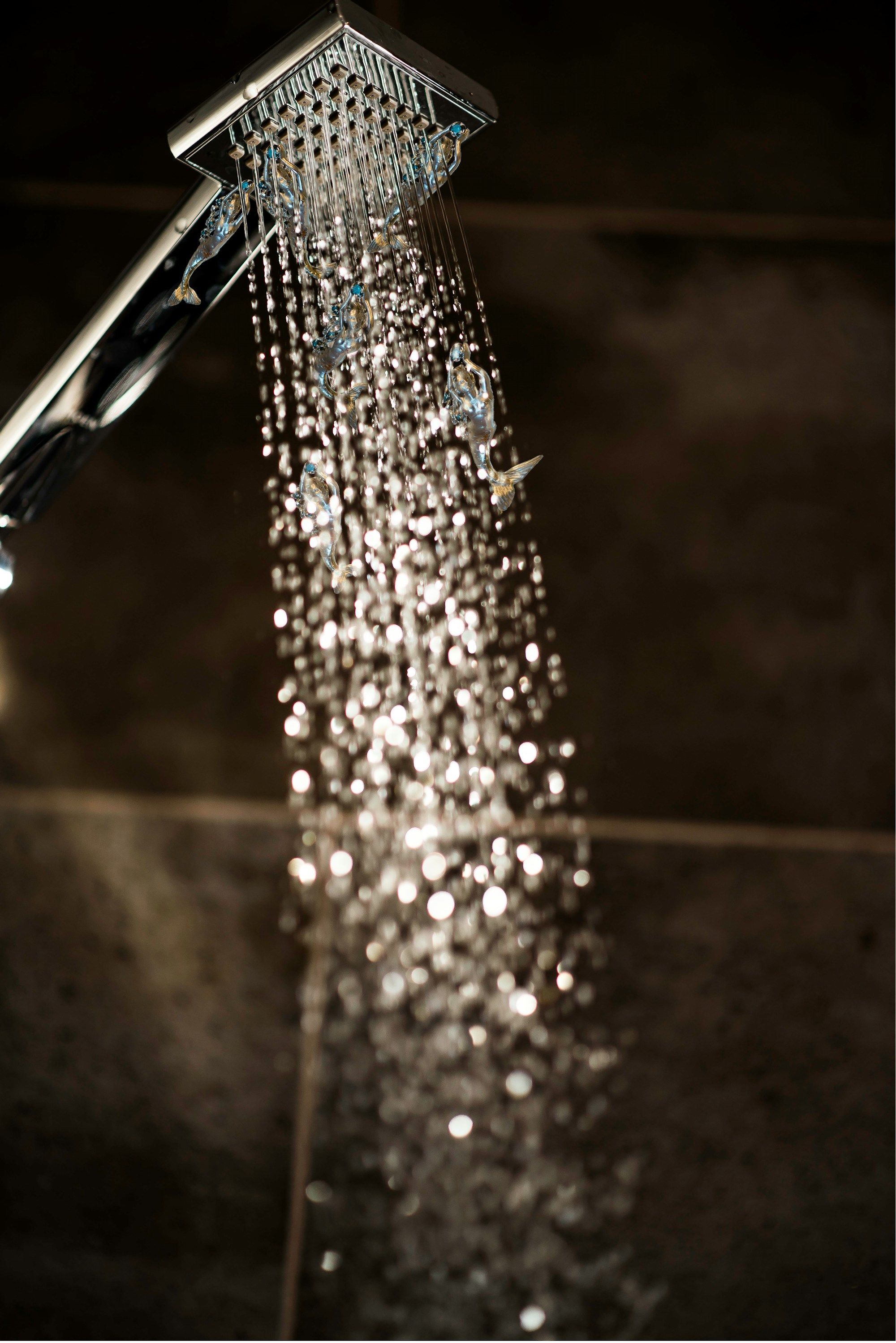 Close-up of water spraying from a shower head